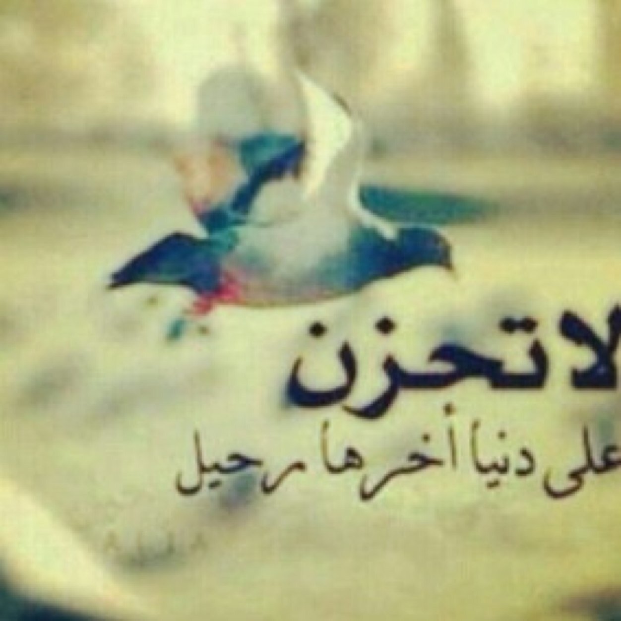 ‏مآنـي ٻنٺ شمـر ولآنـي مـن مطيـر ولآ عـرڨ العٺٻآں فينـي ٻخـوآلـہ فينـي شمـوڂ كليـٻ ۆمعـآنڍ آلـڒيـر يعنـي شمـوڂ الدوسريــہ منـۆ يطـالہ ❤