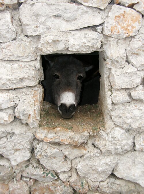 BookingCro's profile picture. This is Croatia! Impressum: http://t.co/9RaRZIp3g2