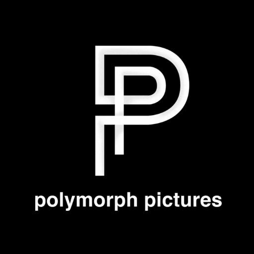 PolymorphZH's profile picture. Polymorph Pictures is an innovative company that has set itself the task of creating moving images with a benefit for you and your customers.