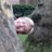 JezzaBSmith's profile image