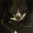 jasonnlouise's profile image