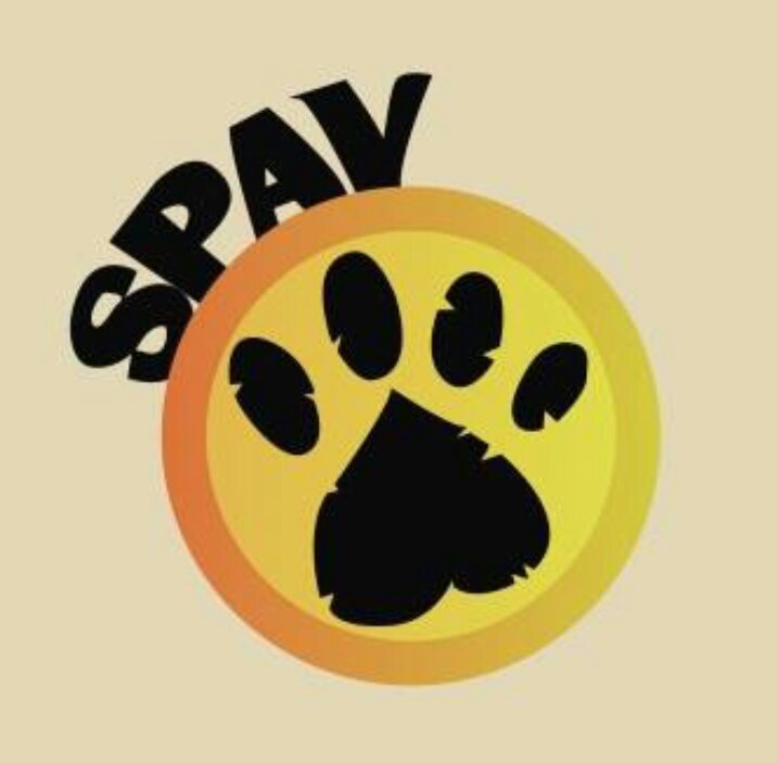 Sociedad Protectora de Animales Villajoyosa. Teléfono de contacto: 636785409                   Instagram: spav_villajoyosa