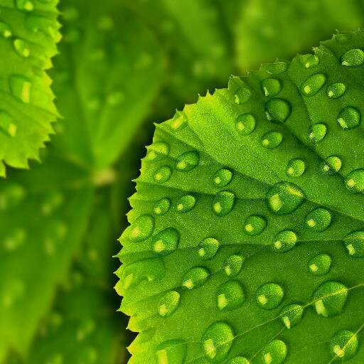 We are a professional cleaning company operating in all areas of London. We aim to provide a reliable, affordable and high quality cleaning in a greener way.