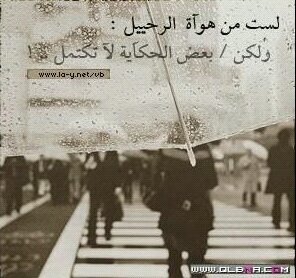 ‏‏‏الحـــــــــــسـاب الـرسمــي                                                kf fod jd dke od dod  xo d dk djrbndo ee dk djd kd dk rkf