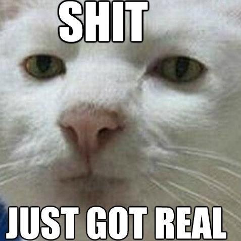 truthmovementin's profile picture. I'm just a guy who like to crack jokes at the wrong place and the wrong time.