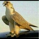 ايمن (@0552689166) Twitter