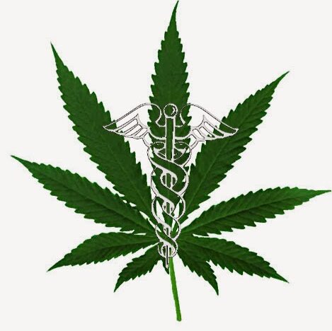 Sharing the knowledge and working to ending the stigma and war against Cannabis.  Open honest and to the point.