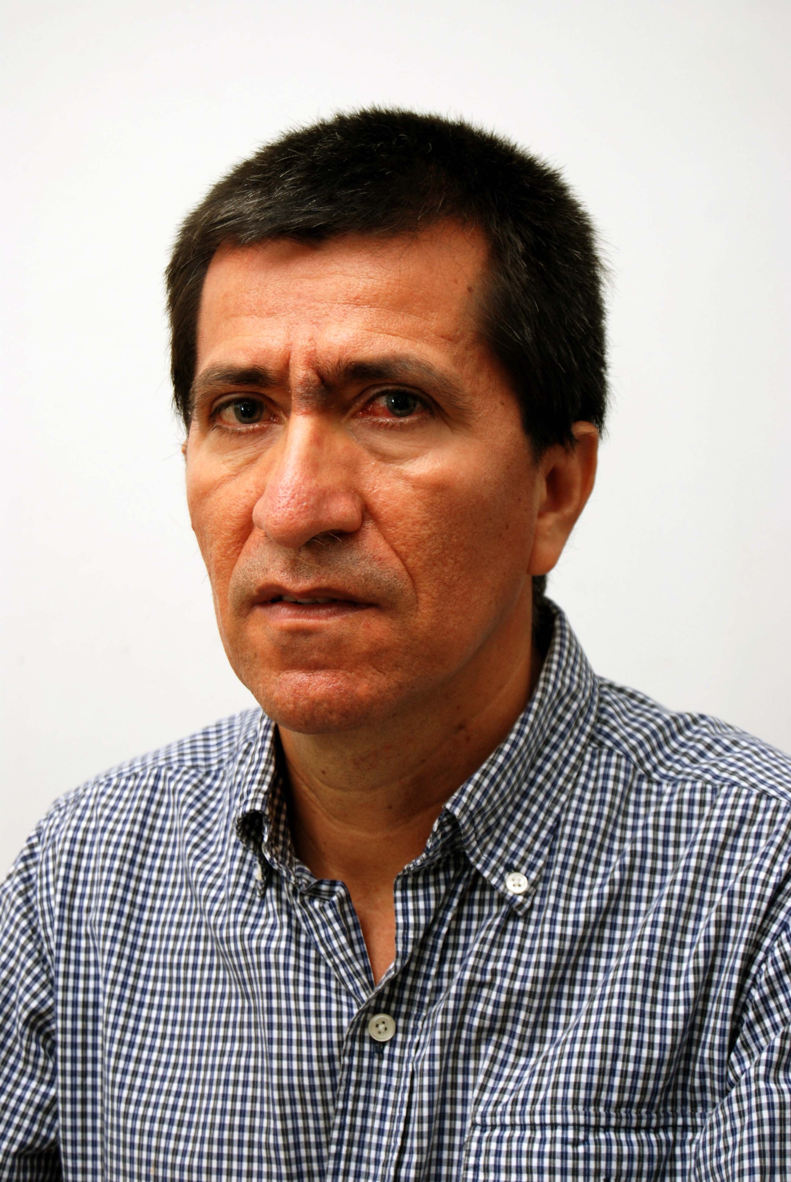analista de ideas...