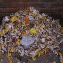 Barry Childress - @chiddler1 - Twitter