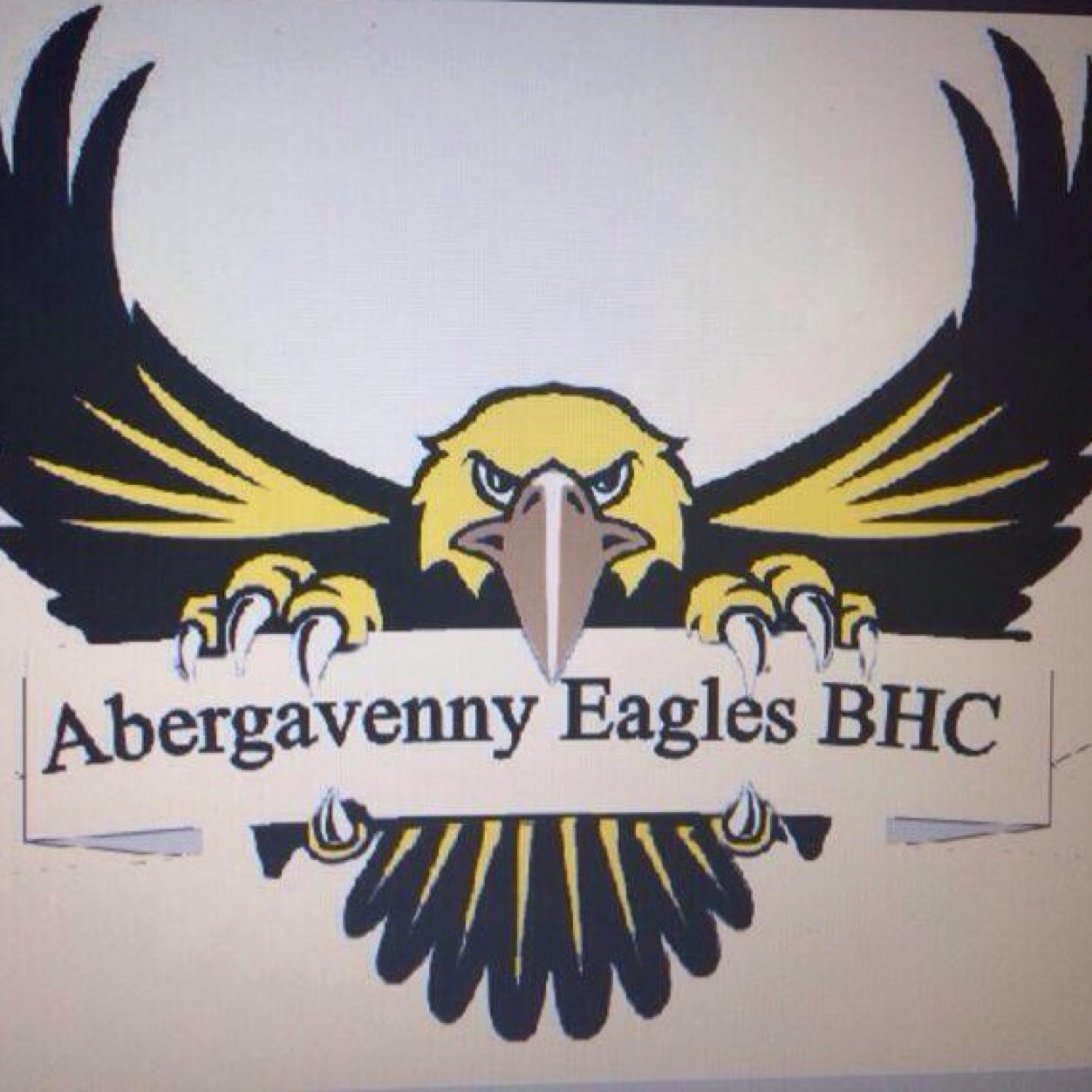 Eagles are a potential ball hockey club based in the South Wales town of Abergavenny. Looking for people to help run  and set up the club - get in touch!