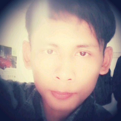 paldi_pd11's profile picture. 