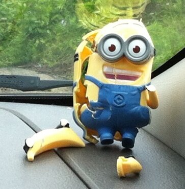 Thorswitchone's profile picture. Rejuvenated Sens fan, sarcastic, news addict, suffering RedBlacks fan, motorcycles & sports cars, Cdn summer nights & The Hip, single malt scotch, & life