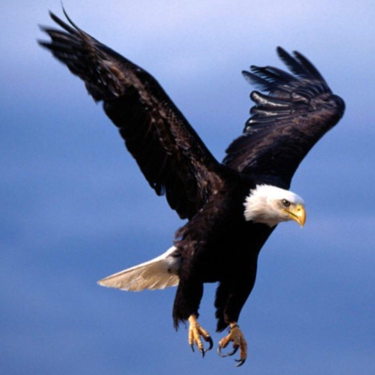 freddmonte's profile picture. 