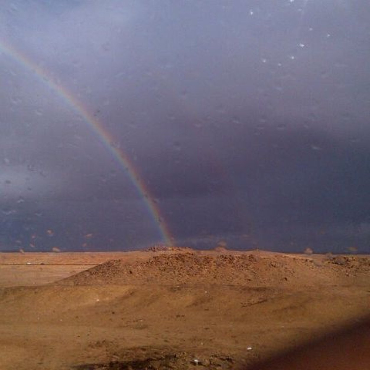 alsanafe654's profile picture. 