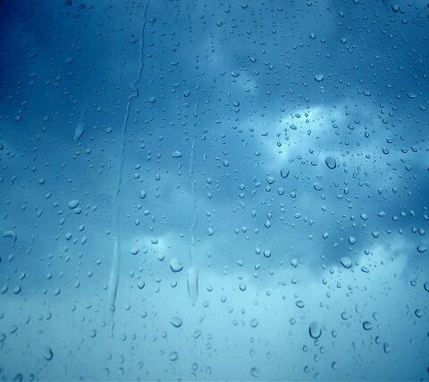 AymanMukhtar's profile picture. 