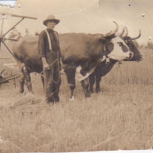 vernon thibodeau