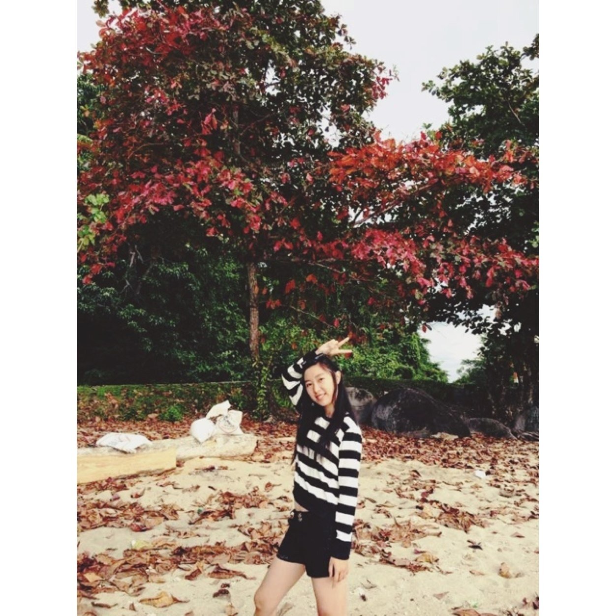 I'm just senior high school girl with a complicated mind and i'm so blessed all the time. | Instagram/line: shereneugenia