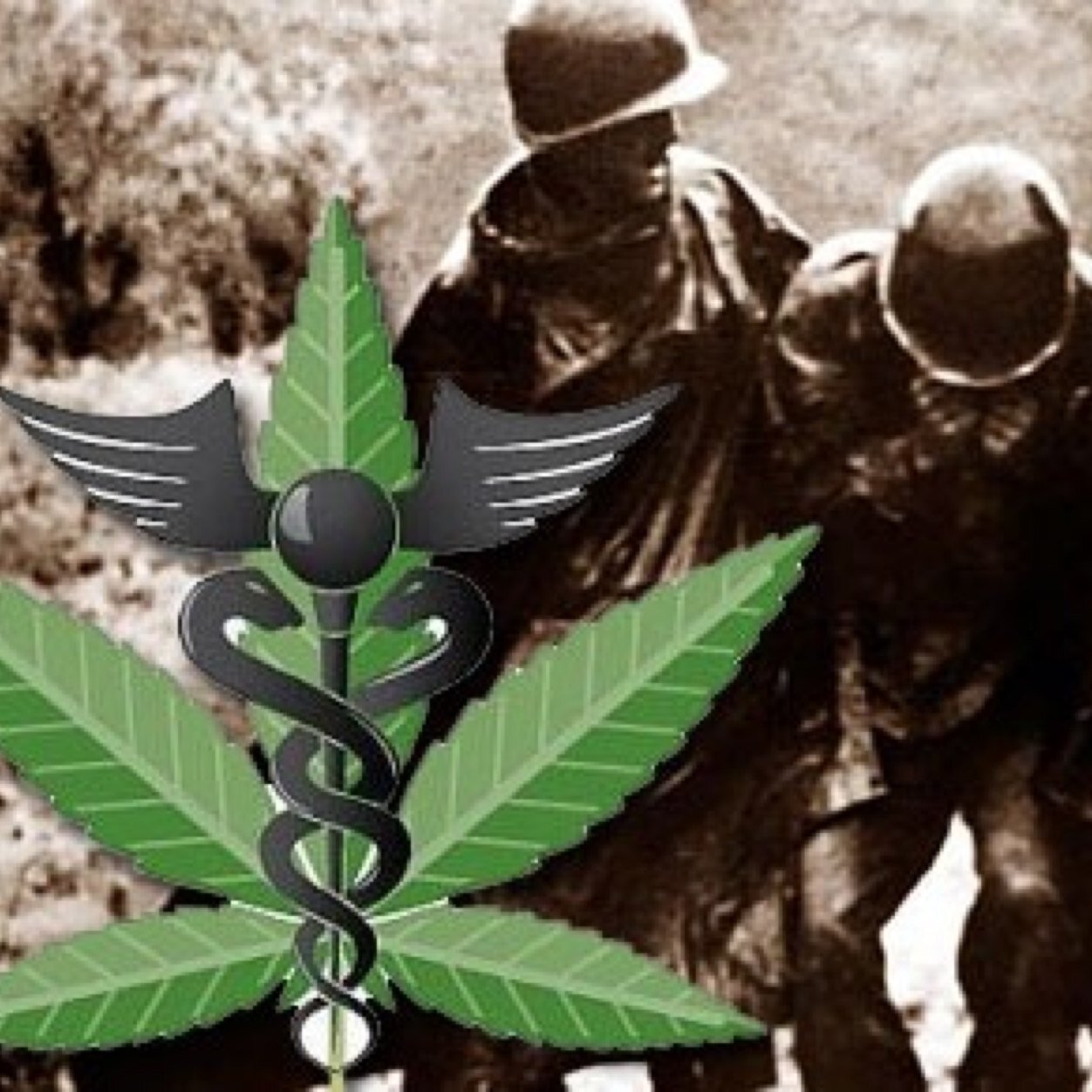 420Vets's profile picture. The Fight Continues! We fought to survive on foreign soil, now we are fighting to live somewhat of a normal life at home.