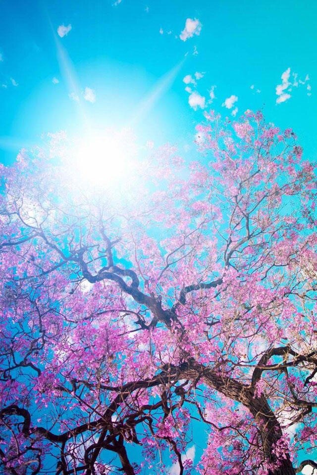 ImpressiveTLab's profile picture. Quality hair extensions with a small price tag, in Hampshire and Lincolnshire!