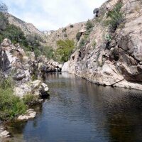 TucsonBeer (@tucsonbeer) 's Twitter Profile