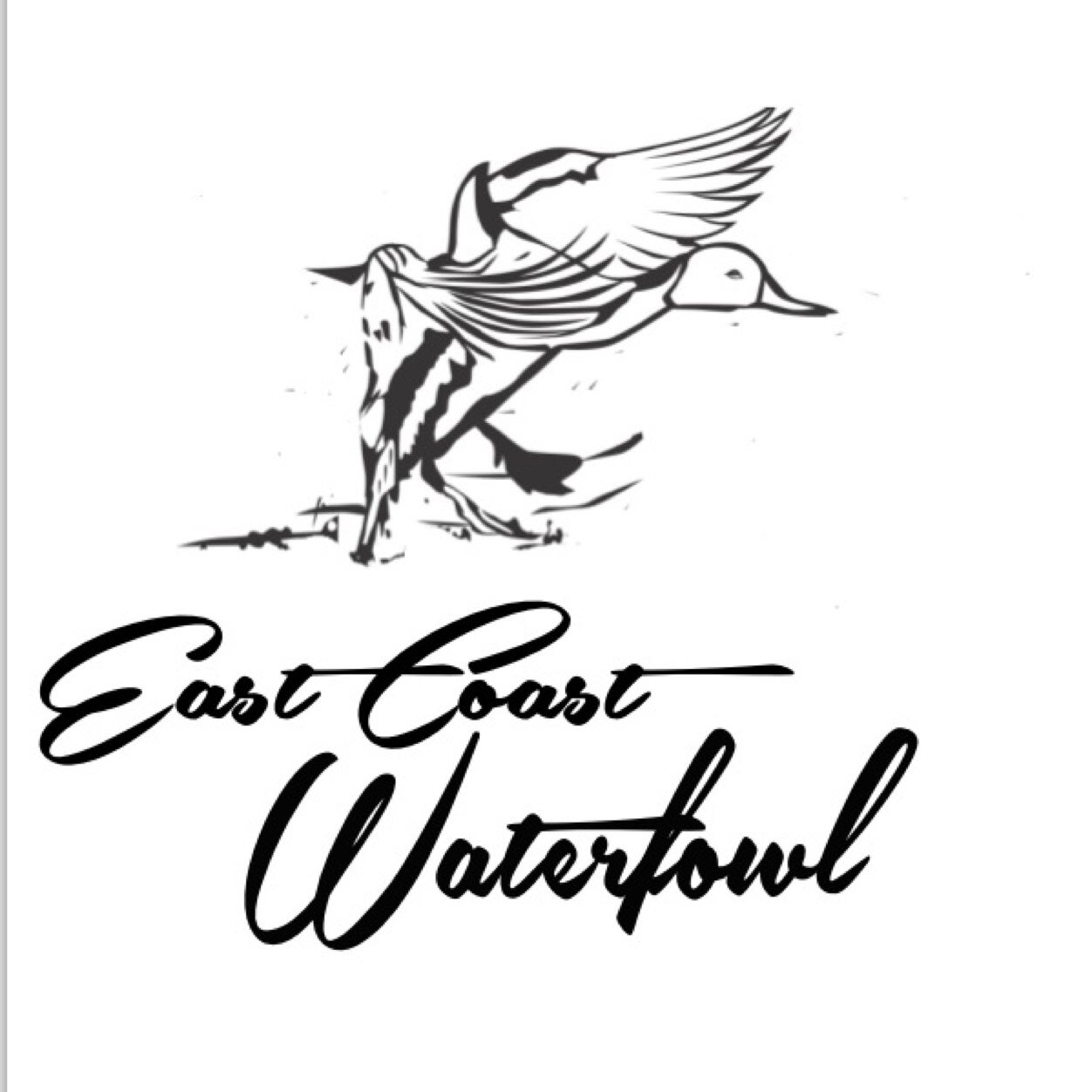 Join 85k followers on insta. Sharing waterfowl hunting up and down the East Coast! Apperal Hats, Decals just email-eastcoastwaterfowl13@gmail.com