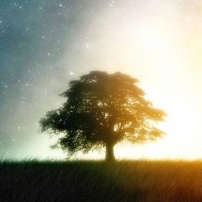 Tava_Dzive's profile picture. Vēlies zināt šokējošus faktus? Interesantus notikumus? Šodienas jubilārus, gaviļniekus? Un vienkārši palasīt, ko tādu, ko nezini? Spied ''Follow''. (: