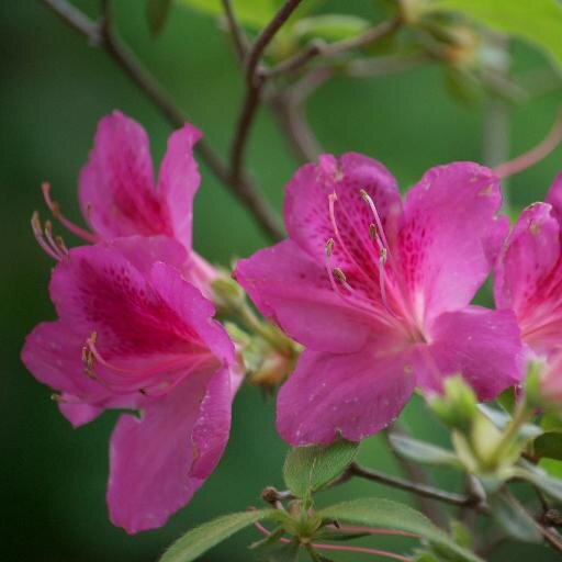 Lillianofthesea's profile picture. Graphic Designer, Glass Artist and Crafter of Upcycled Art and Decor