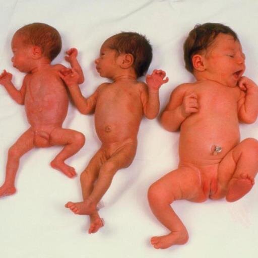 HeardLBW's profile picture. 