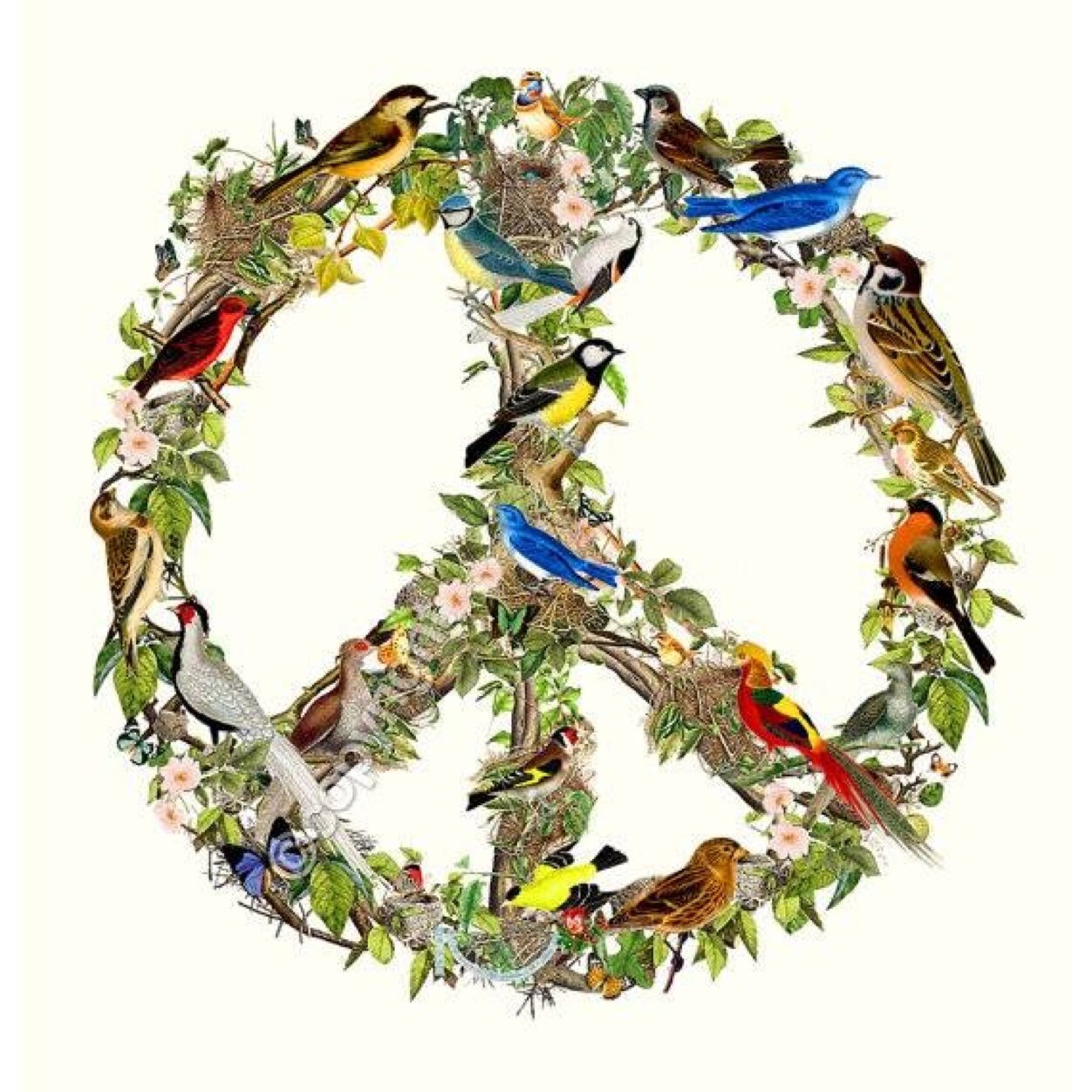 Blessed_2015's profile picture. Mom/Business Owner