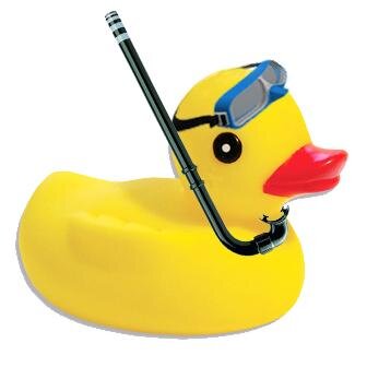Your Cowichan Valley Pool, Hot Tub and Sauna Store. Service, Parts, Toys, Chemicals we offer it all!