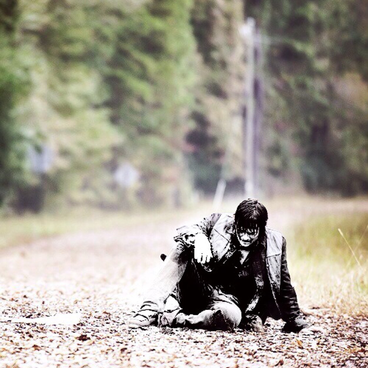 my life consists of daryl dixon and rick grimes and that's it