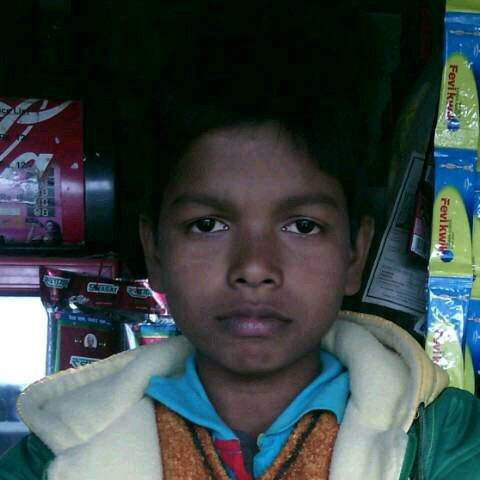 student and like to play and watch cricket