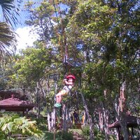 Cecep Capcus  (@capcussekali) 's Twitter Profile