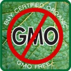 Disclaimer: This account is solely for the purpose of an assignment at Ryerson University . Instagram: GMO_Truths Facebook: http://t.co/bQQVbDz7bu