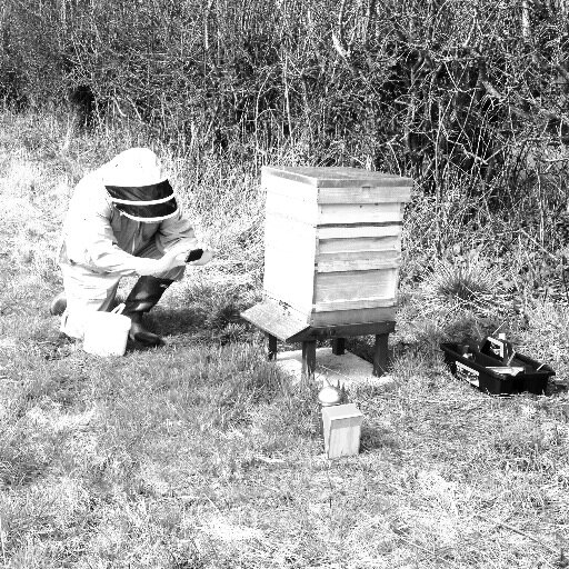 Beekeeper and Project Manager. Bee bold, Bee outstanding, Bee excellent, Bee nice, and Bee yourself!