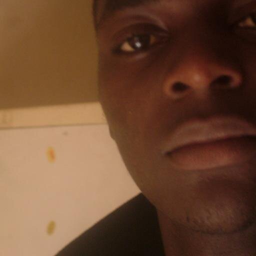 programmer, web designer, game designer