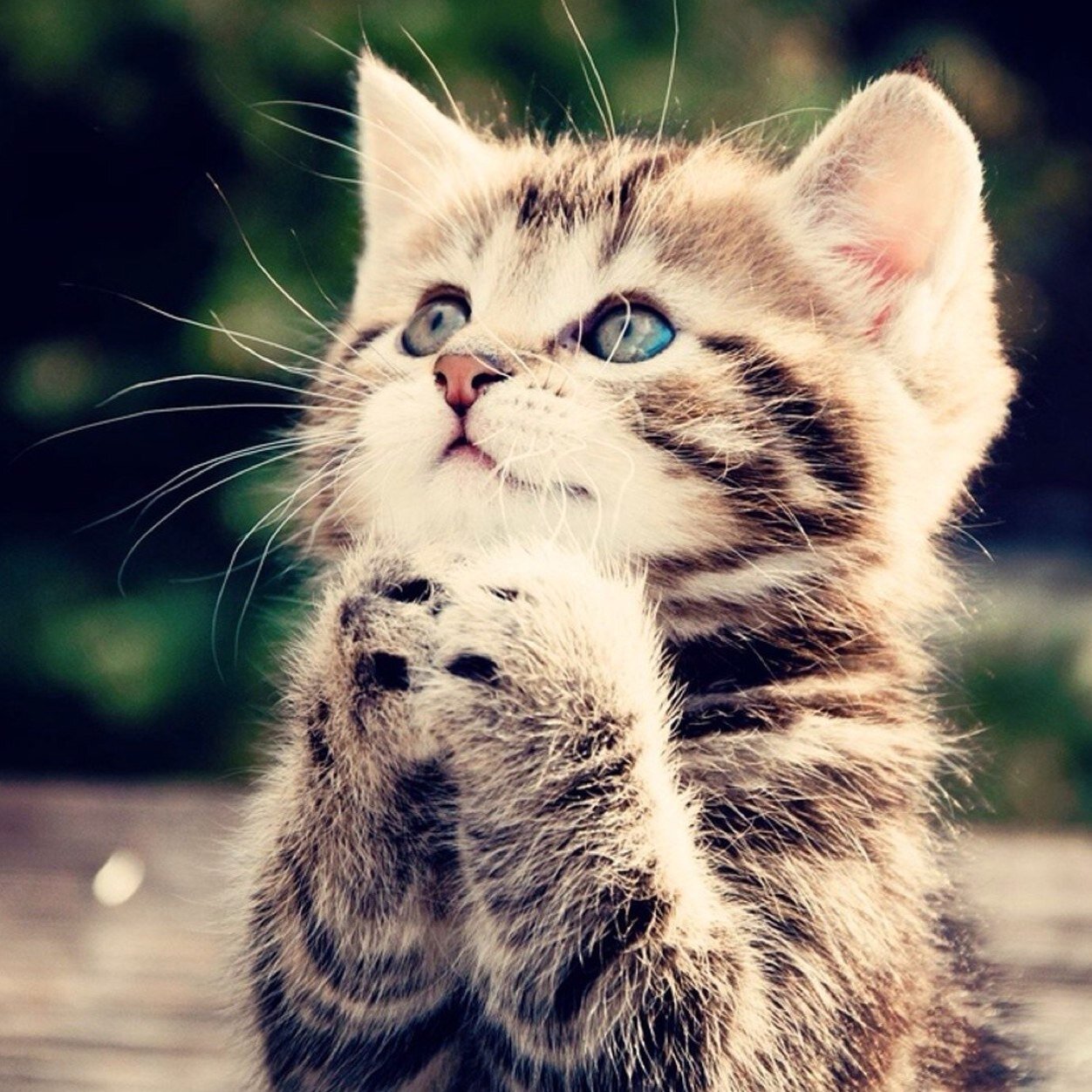 Pick someone to be your #PrayerProject. Pick a family member, friend, pet, acquaintance or a stranger that you feel needs a little extra #prayer.