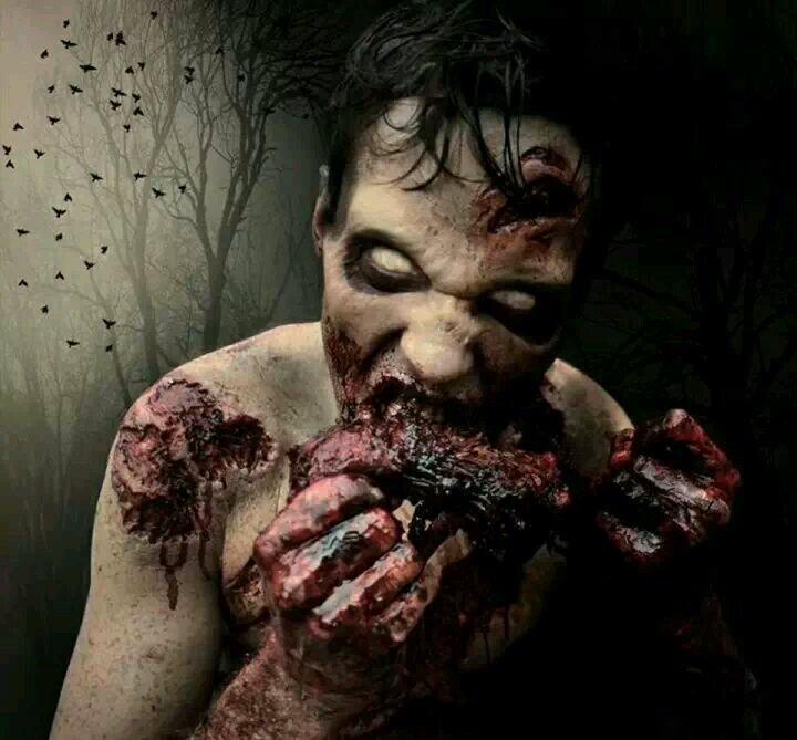 titanoflamore's profile picture. 