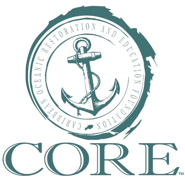 The CORE Foundation inspires communities to be better stewards of the environment through marine awareness education and hands on coastal programs.