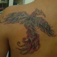Bulut (@monocidar) 's Twitter Profile