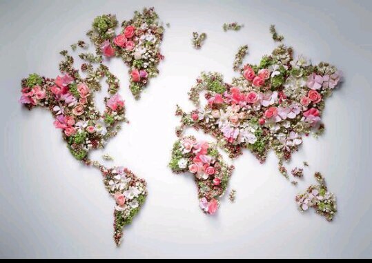 AbeerAL_zahrani's profile picture. أمانينا كِبارٌ غير إنَّا سألناها بقلبٍ مطمئنِ.