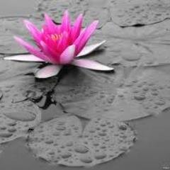 PeachEasyATL's profile picture. Real Housewives Viewer since Season One #RHOC #RHOBH #RHONY #RHOM #RHONJ #RHOA #SouthernCharm