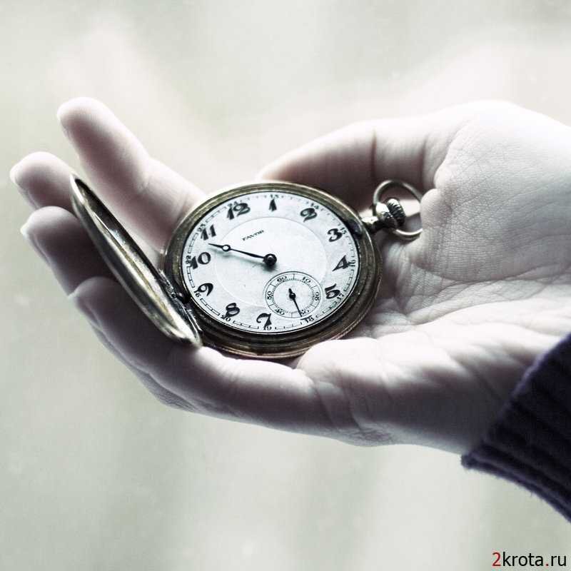 kuma2ok's profile picture. Follow back # Взаимный Фолловинг # Увлечения - #государство, #политика, #мода,  #красота, #бизнес, #общество, #християнство, #держава