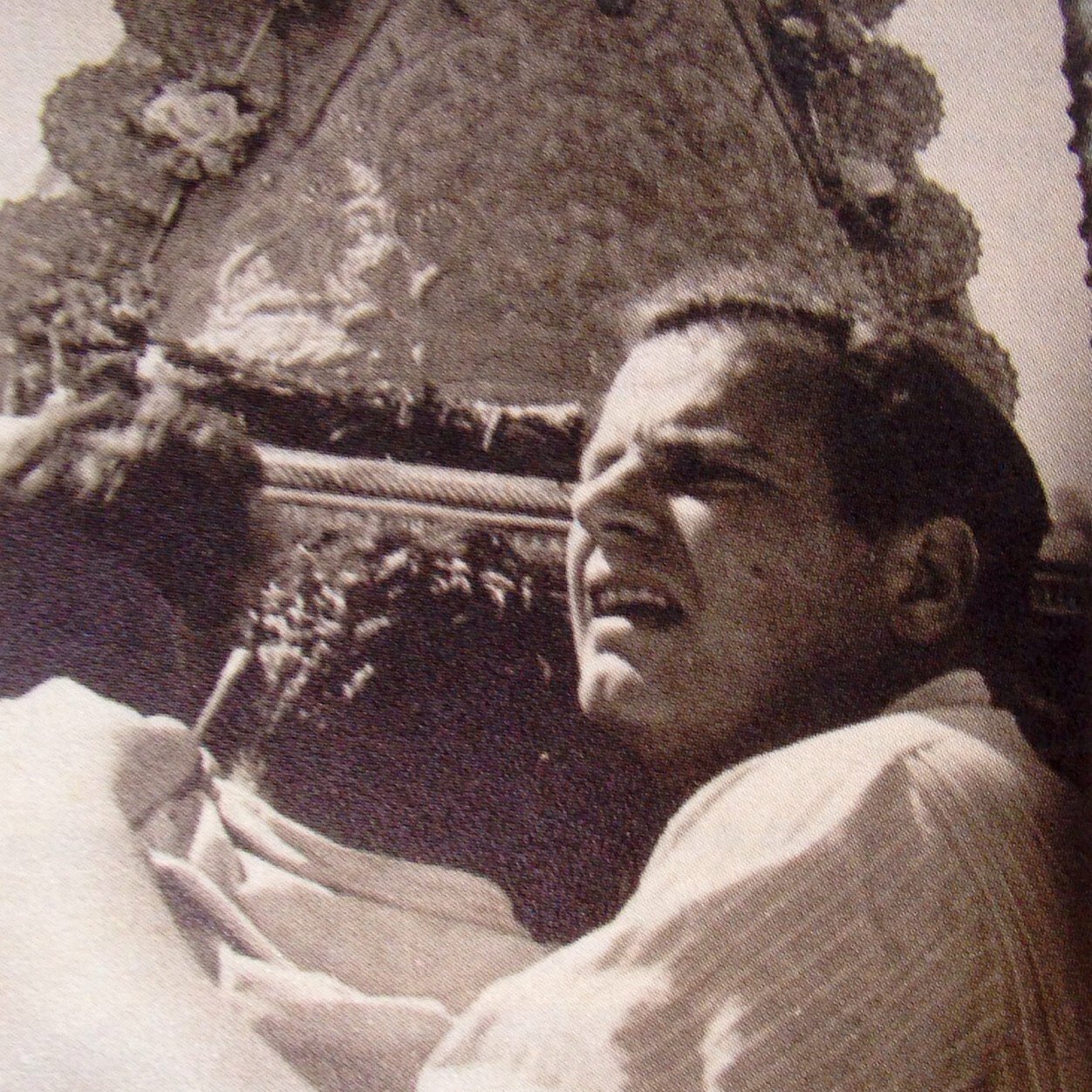 Twitter dedicado a la virgen del Rocío: Noticias, Historias, Curiosidades, Fotos.