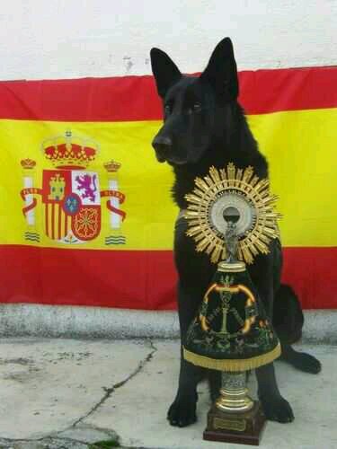 AmeijeirasI's profile picture. Hasta las narices de los políticos