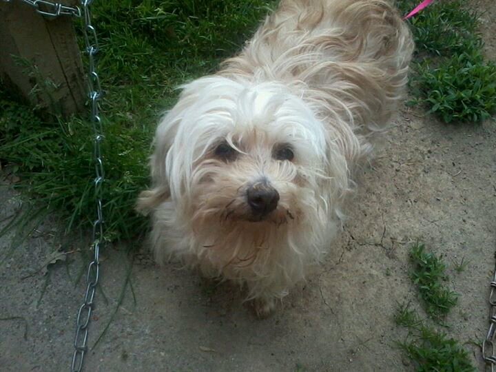 Im a single mom of 3 beautiful Teenage girls from Akron Ohio. Im addicted to Dog the Bounty Hunter.