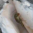 Dan Collinge - @DPCollinge - Twitter