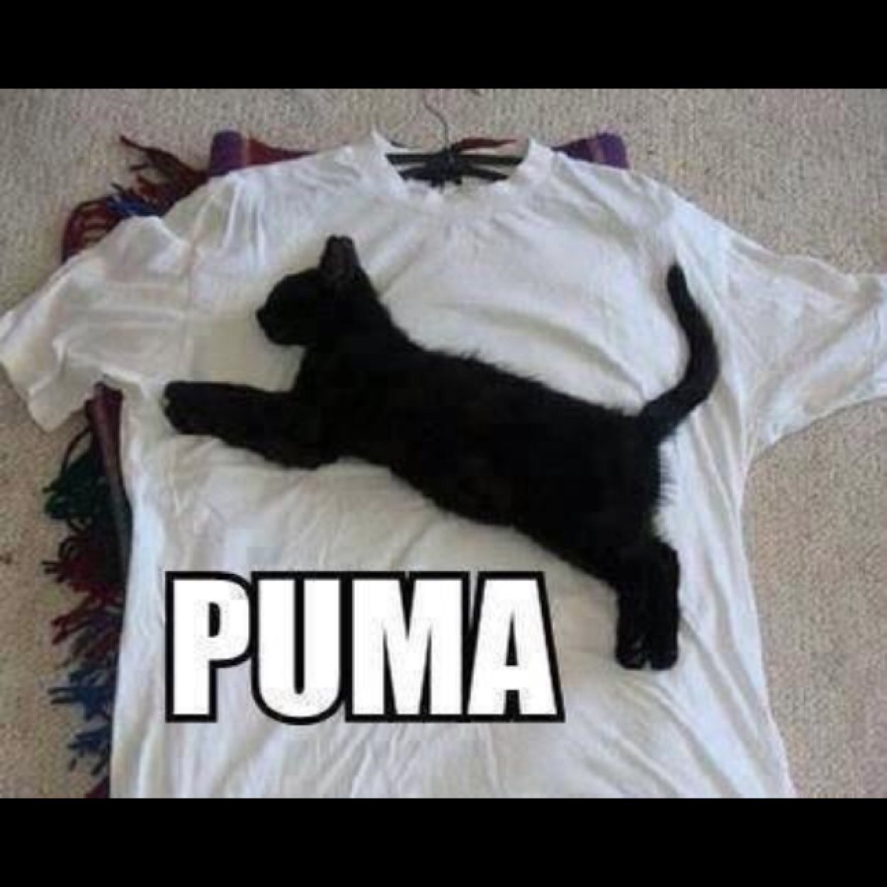 Volg ons voor de beste tips over puma