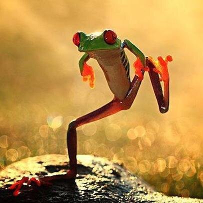 jjulmxx's profile picture. Cool story bro