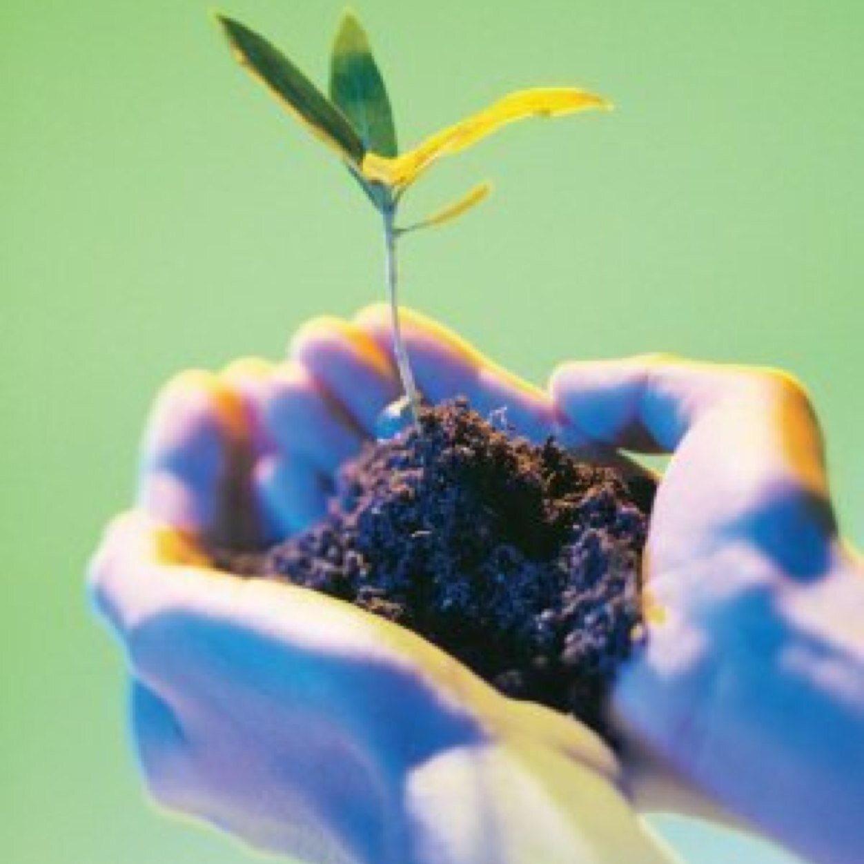 Activos_Planeta's profile picture. Nos preocupamos por el medio ambiente por eso... ¡Debemos estar Activos por el Planeta!